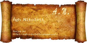 Ágh Nikolett névjegykártya